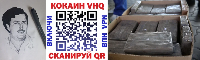 где найти Жердевка COCAIN FishScale
