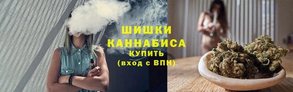 винт Дмитров