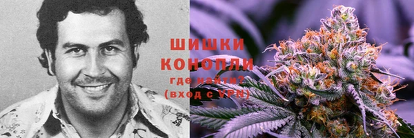 винт Дмитров