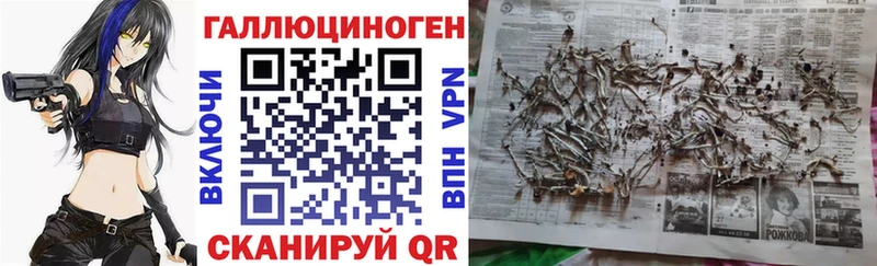 купить наркотики цена OMG ТОР Псилоцибиновые грибы Psilocybine cubensis Жердевка
