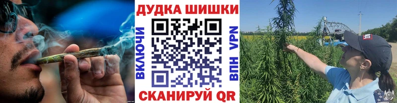 blacksprut tor  Жердевка  Шишки марихуана марихуана 